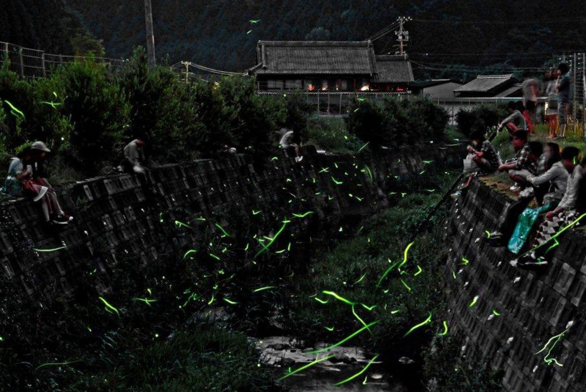 okazaki festival des lucioles