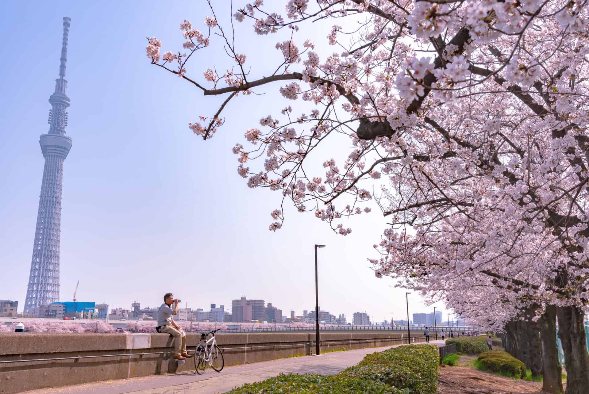 parc sumida tokyo skytree