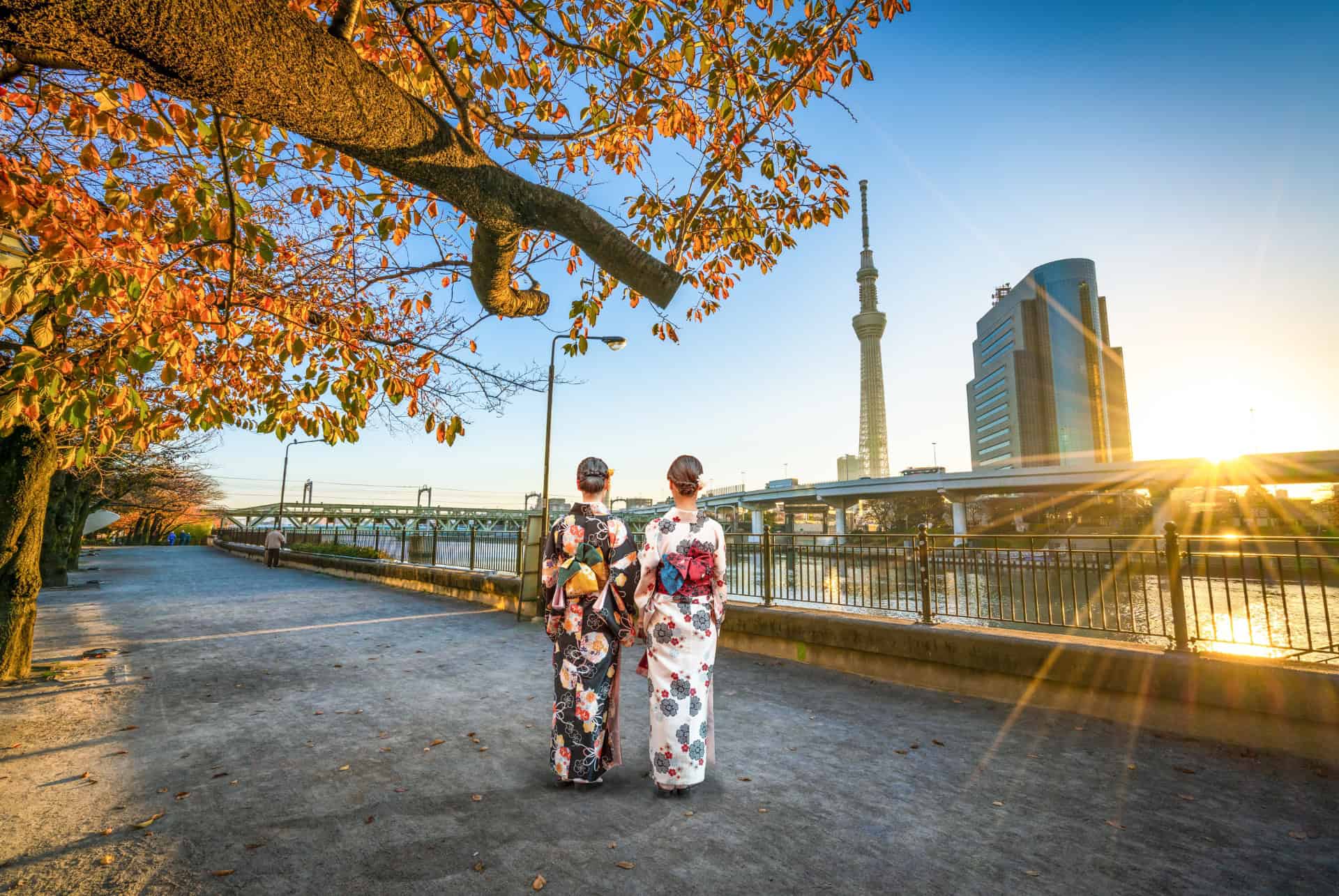 parc sumida vue tokyo skytree