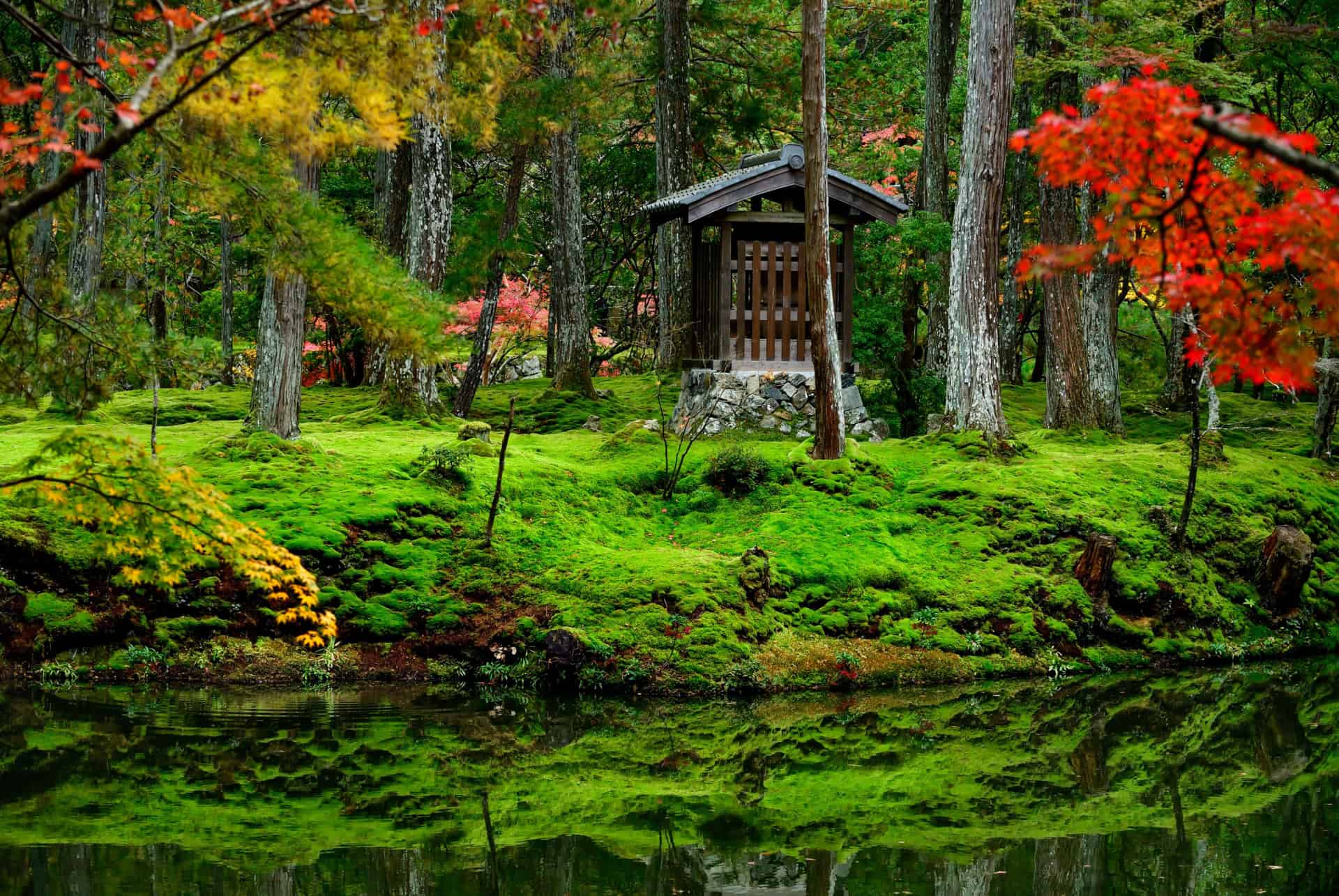 saiho ji japon juin