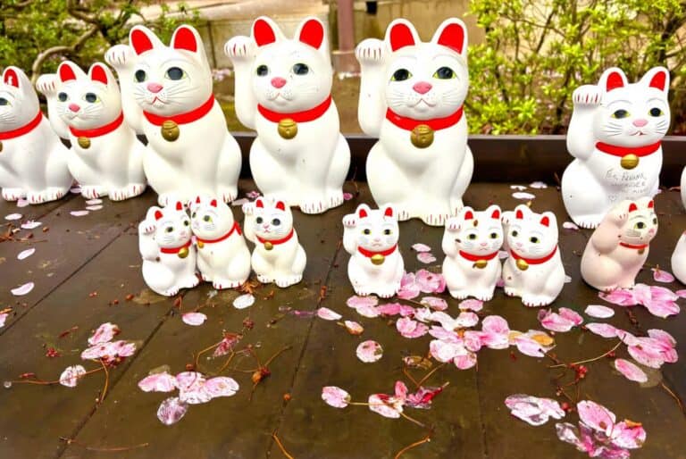 Temple des chats Gotokuji, café des chats et quartier Shinjuku