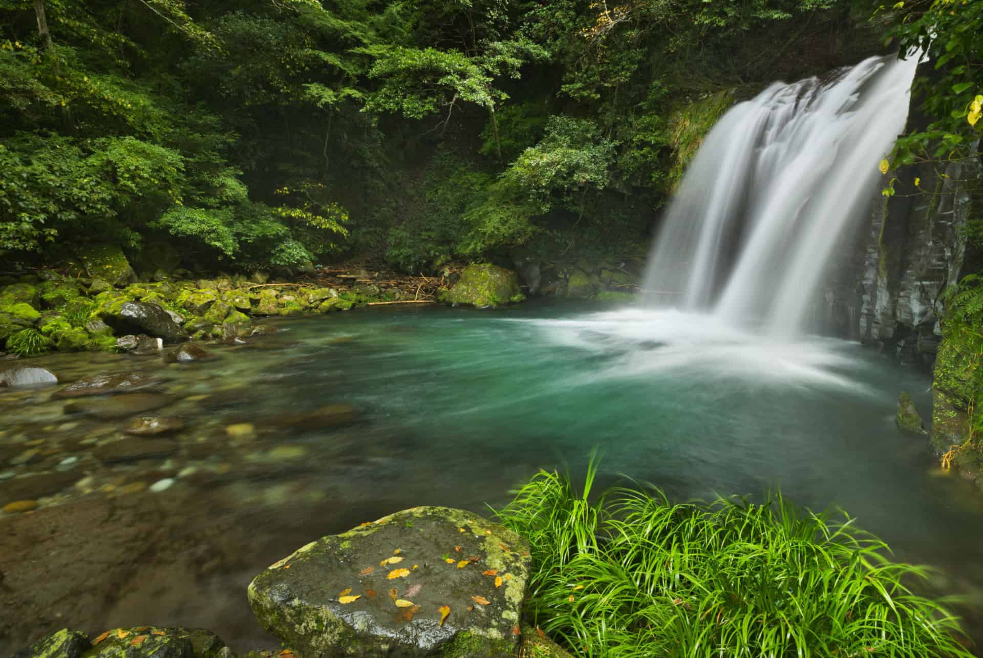 cascade shokeidaru