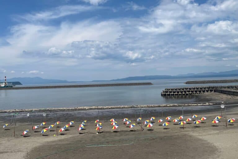 Découvrez les charmes de Kagoshima, Kyushu, avec un guide