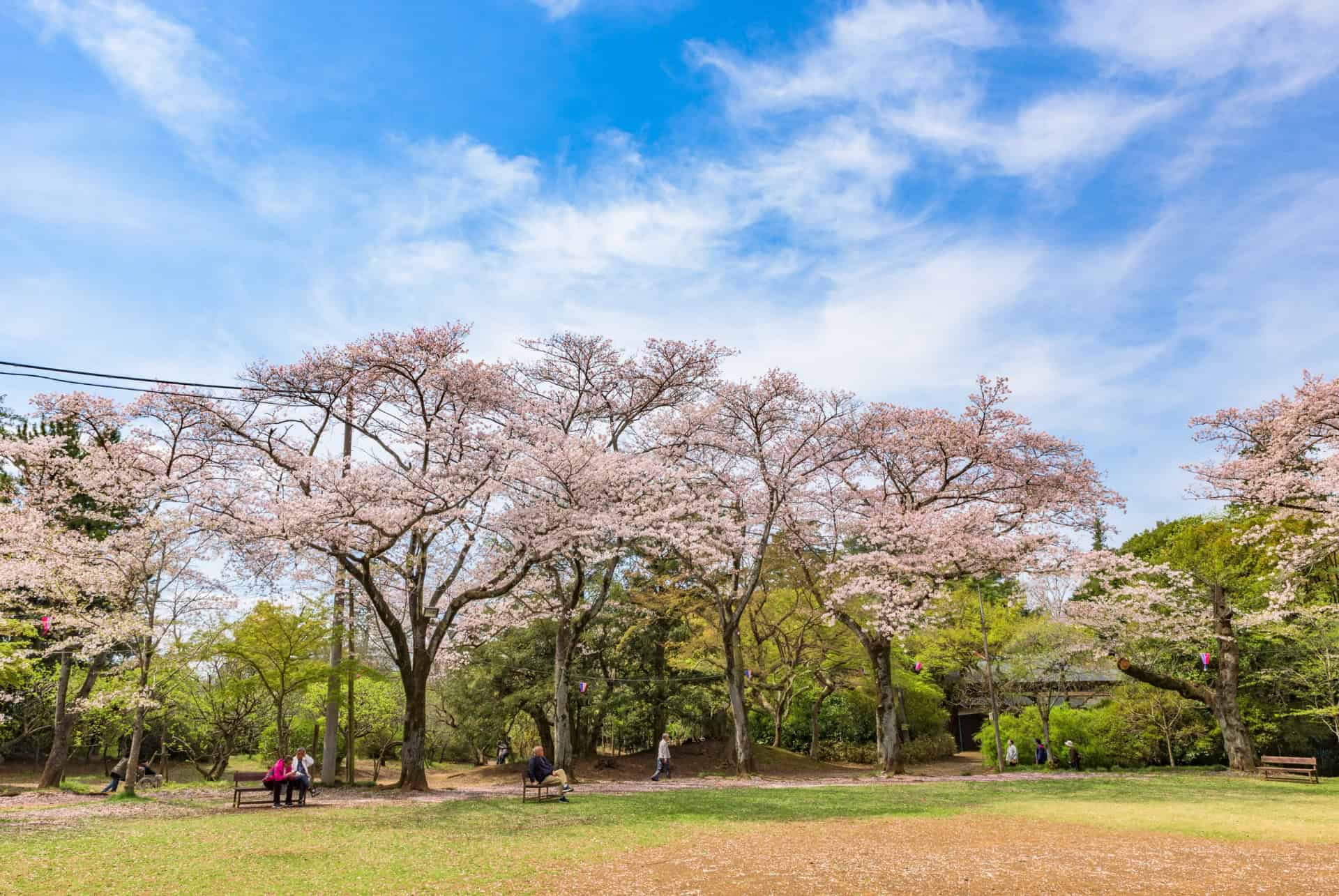 parc shiba tokyo