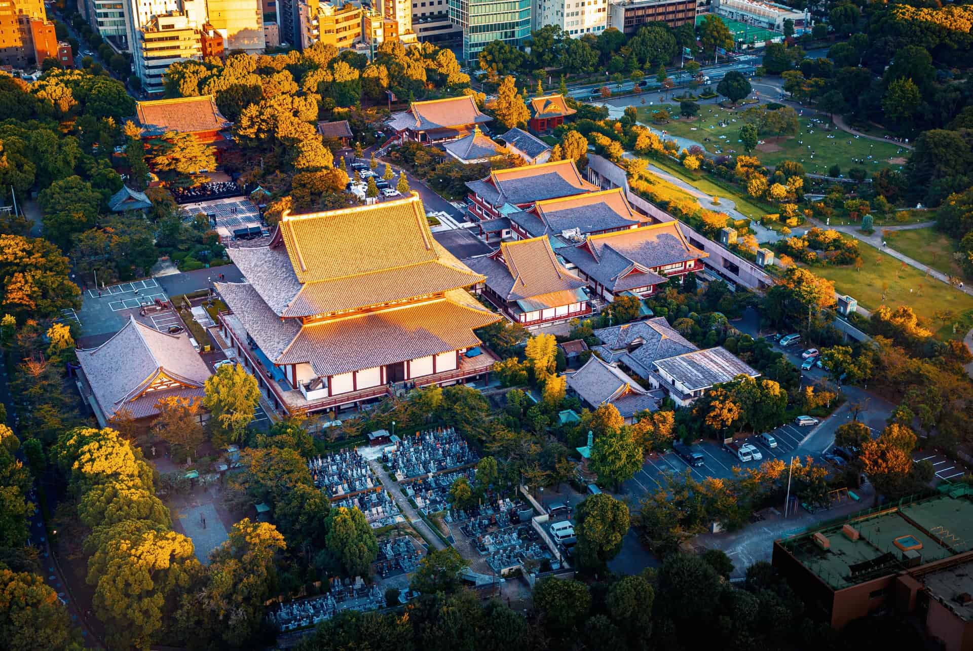 vue aerienne temple zojo ji