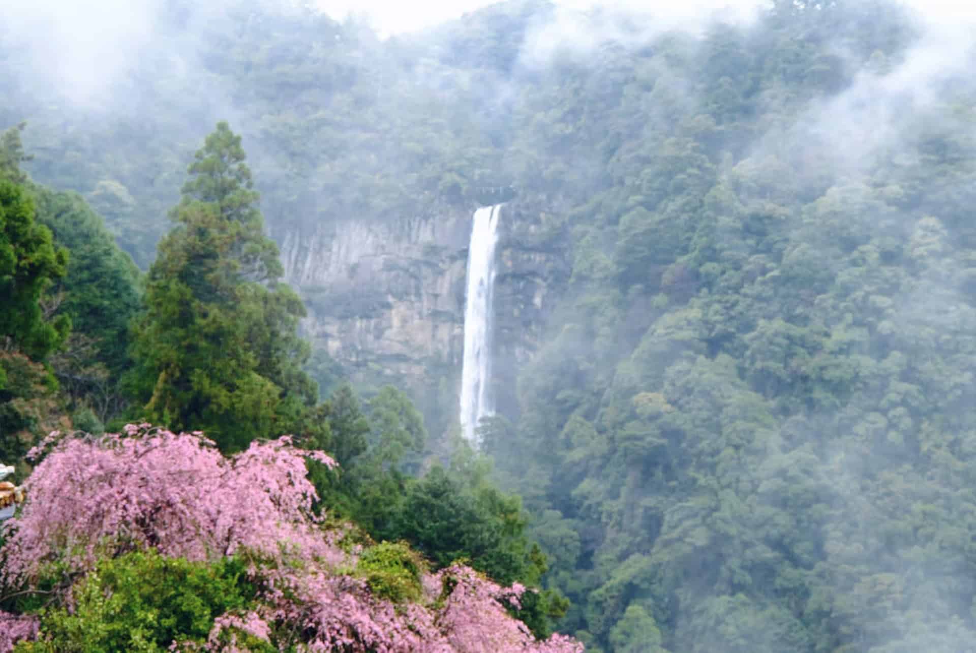 que faire a shingu cascade kumano kodo