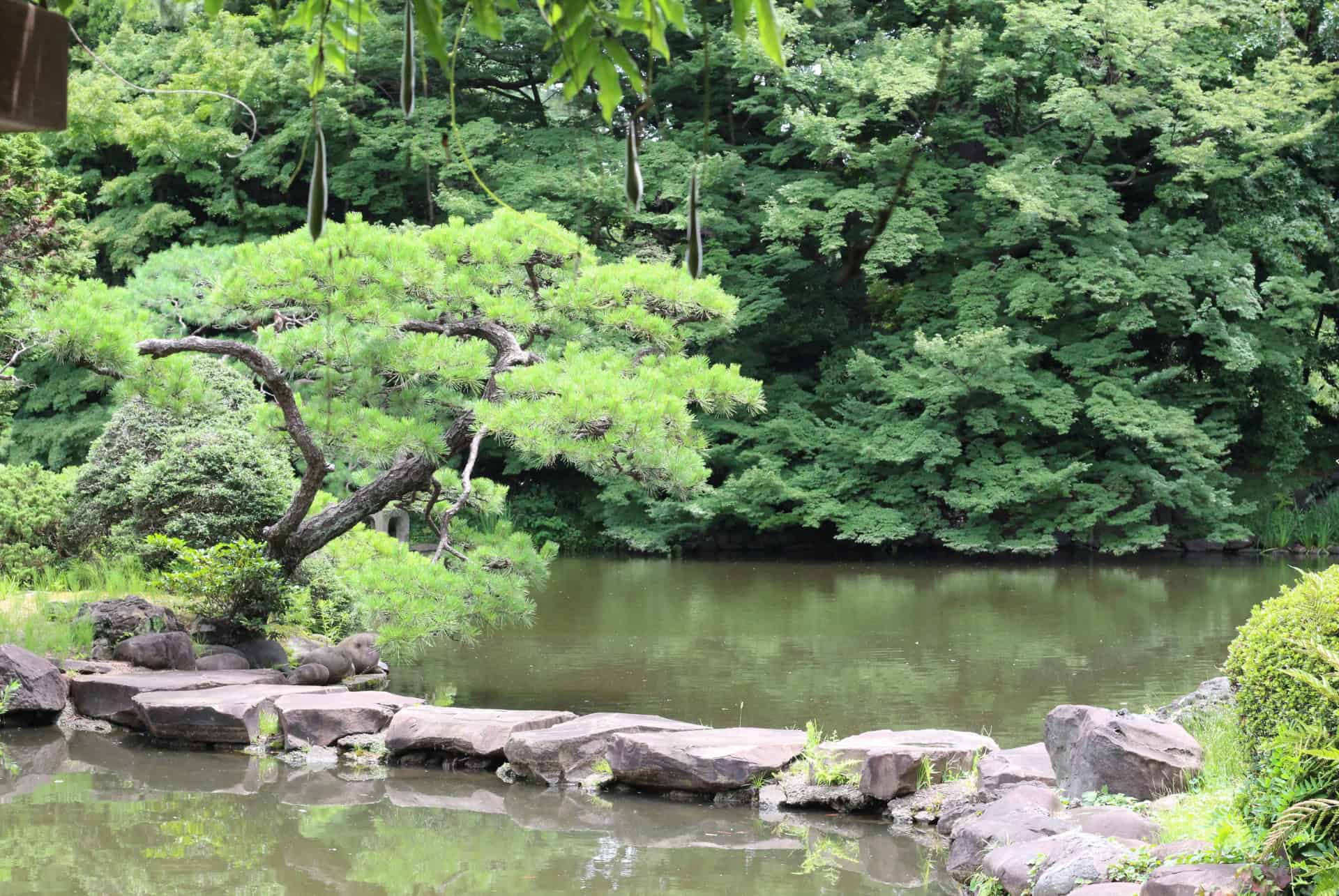 gyoen shinjuku gyoen shinjuku