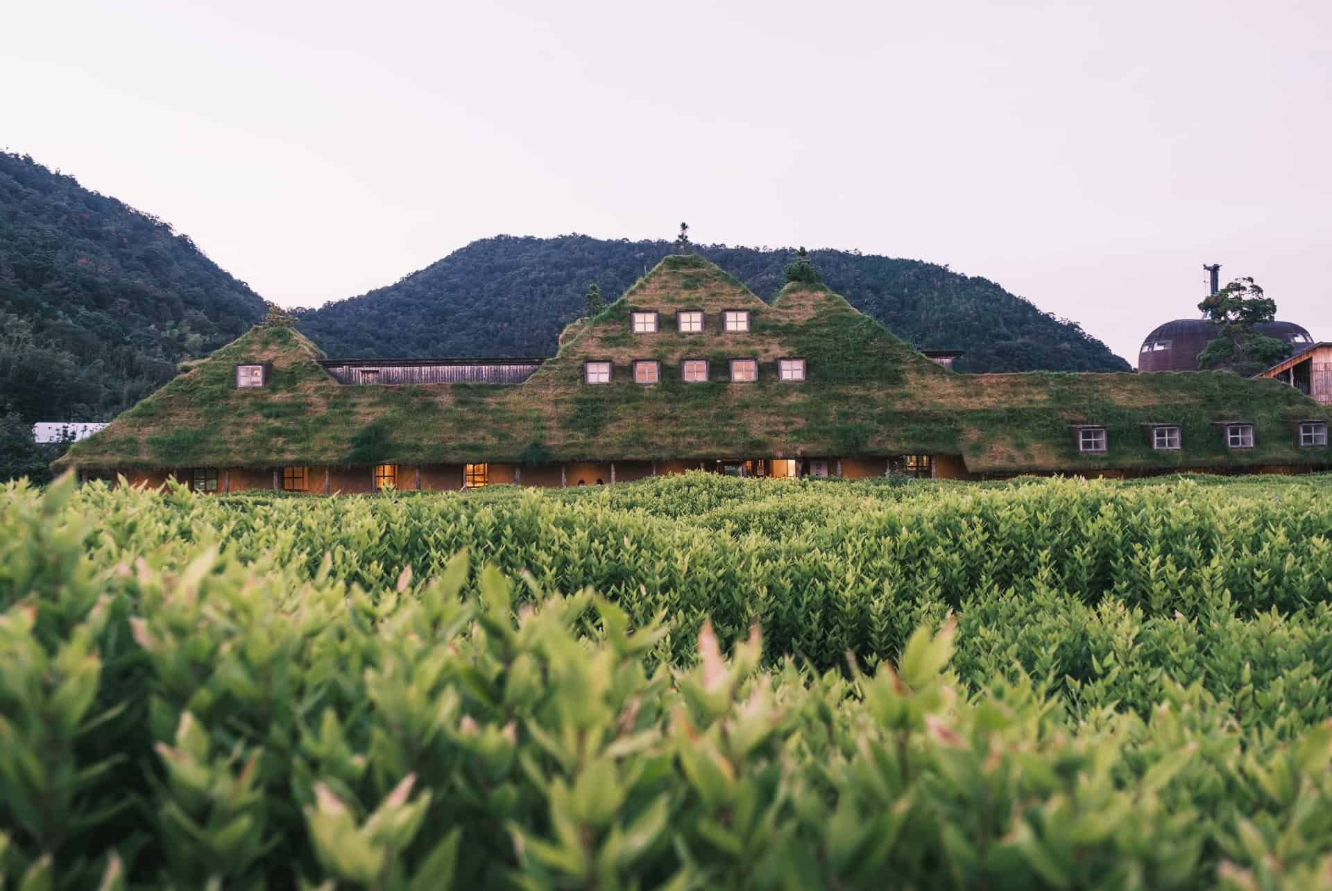 la collina omihachiman