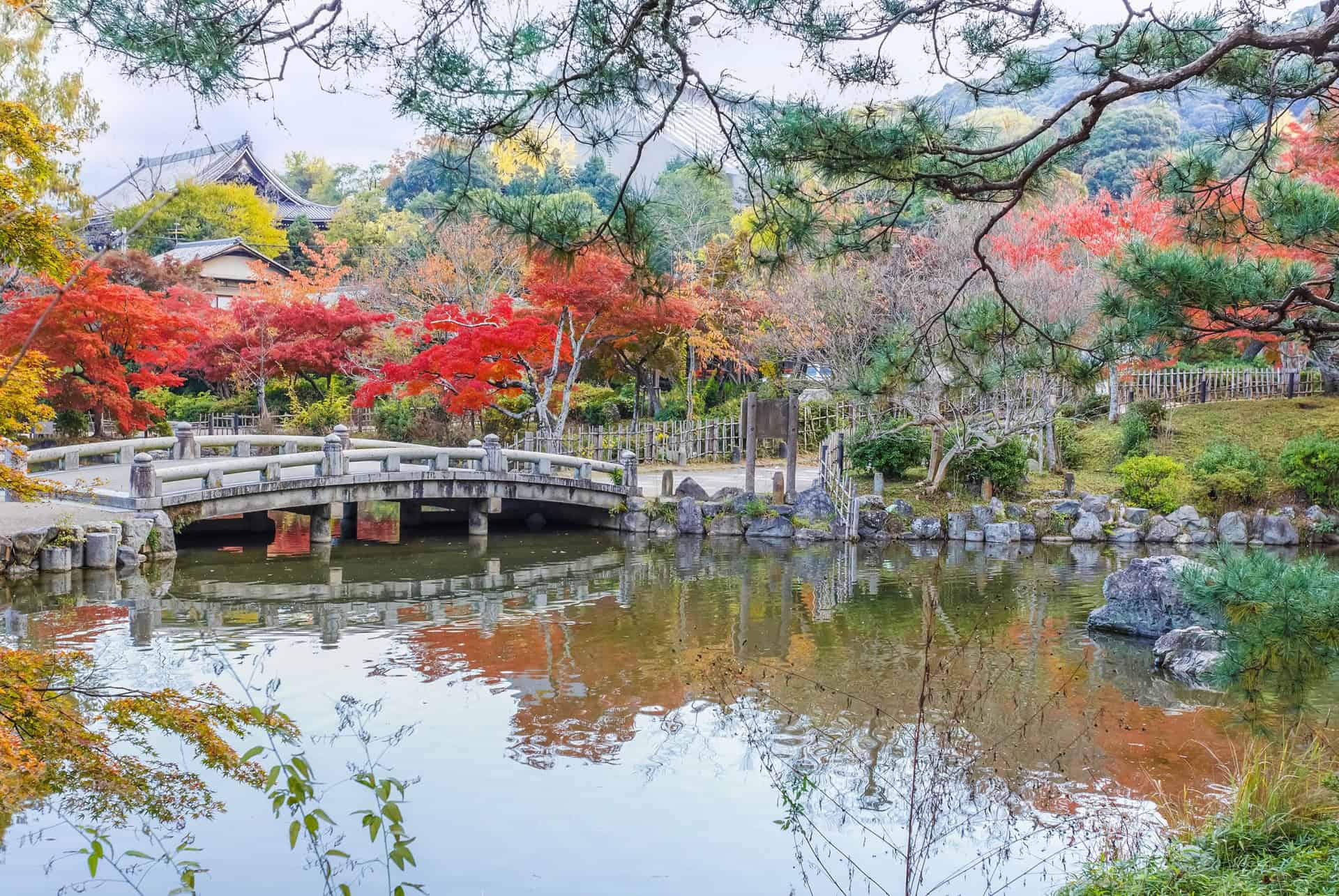 parc maruyama kyoto parc maruyama kyoto