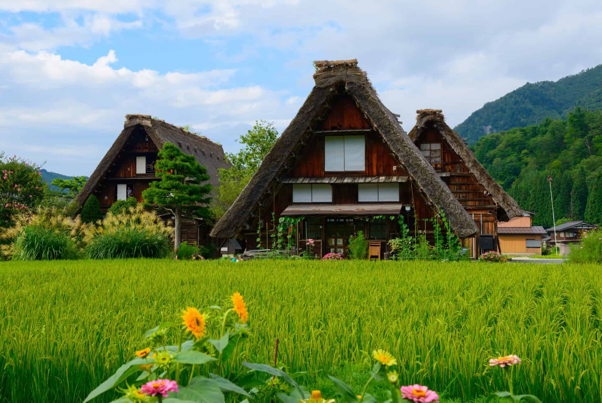 que faire a shirakawa go