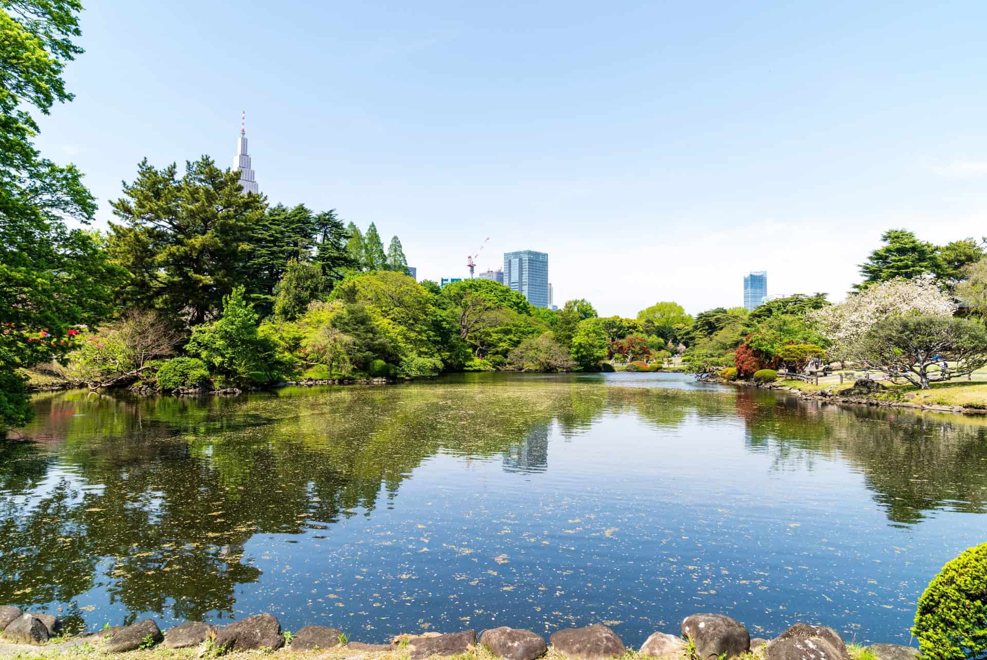 shunjuku gyeon tokyo shunjuku gyeon tokyo