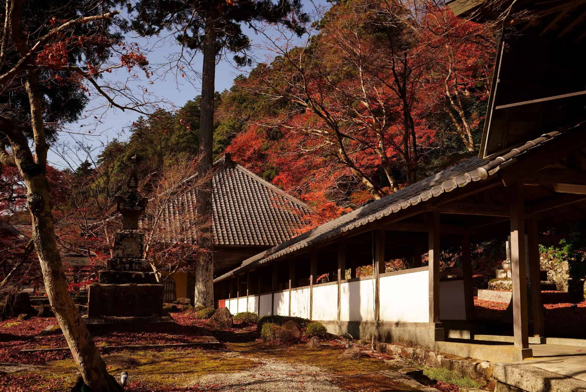 temple eigenji que faire a omihachiman