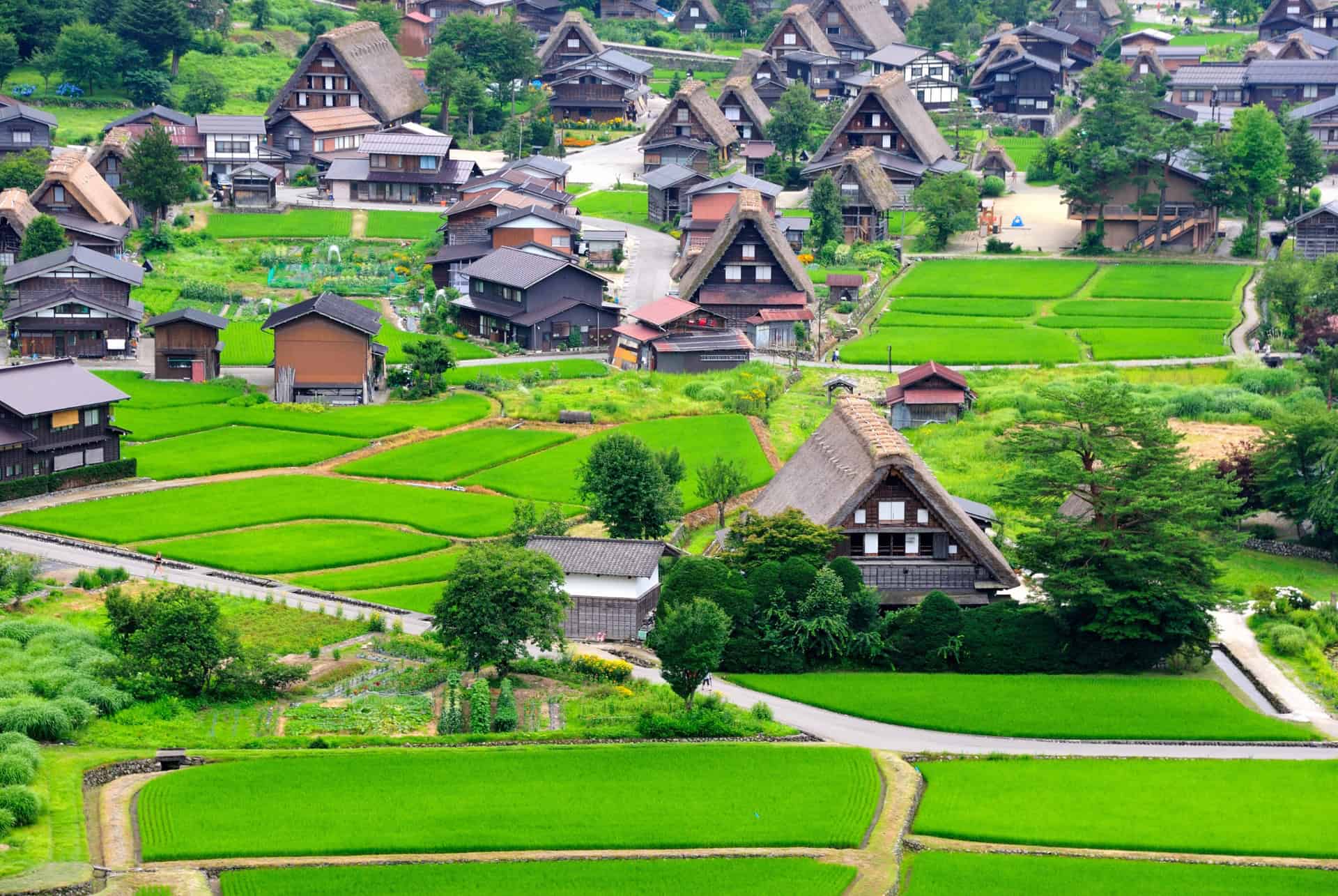 village shirakawa go