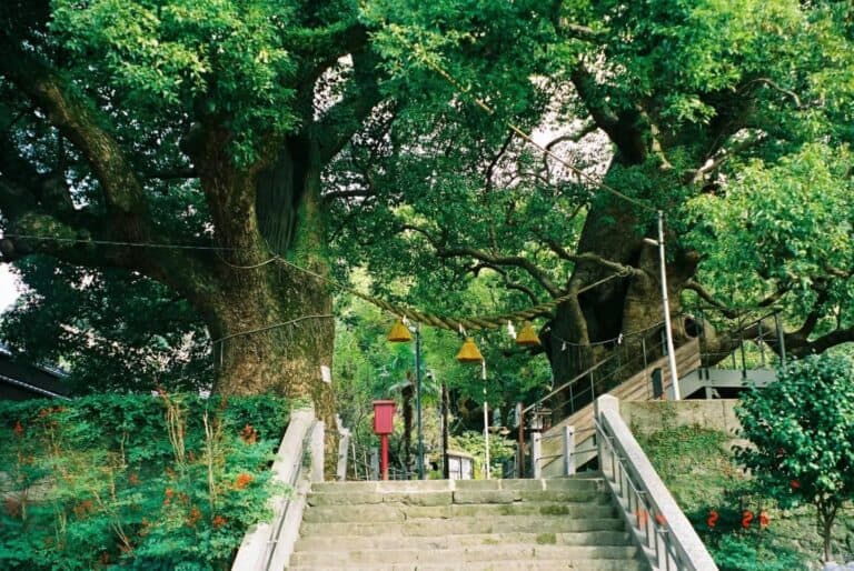 Visite privative du parc de la Paix de Nagasaki