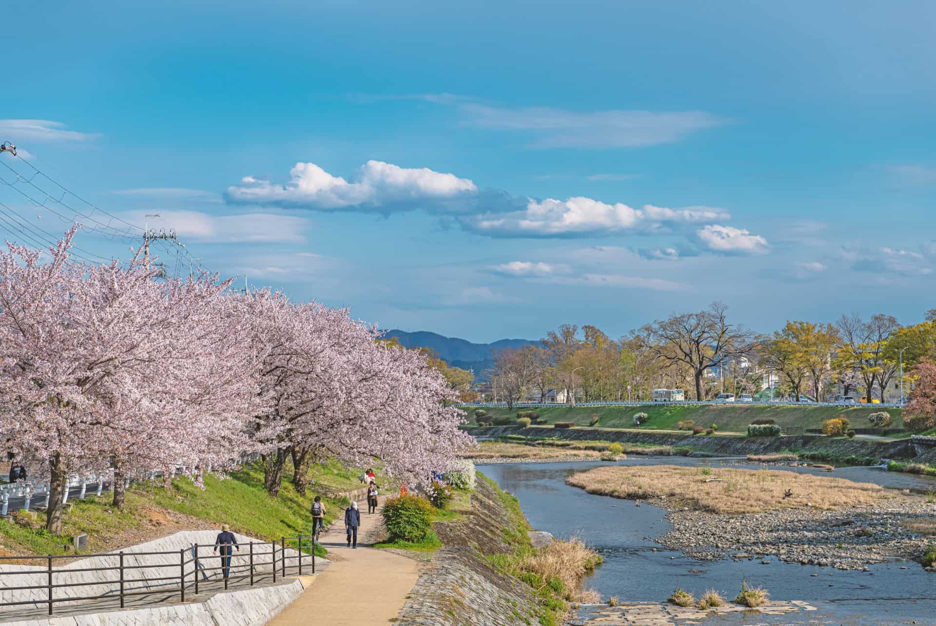kamo-gawa kyoto