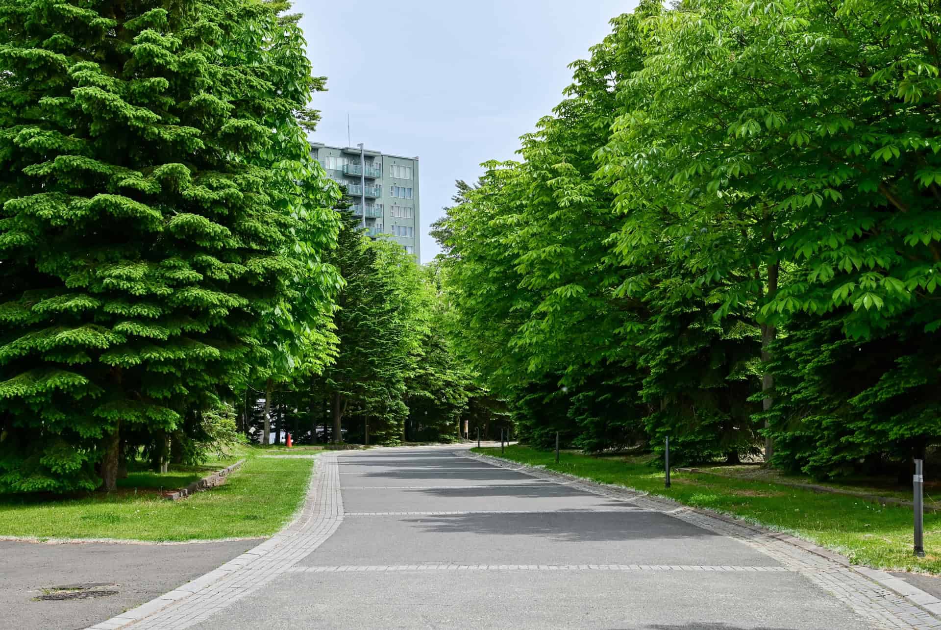 nakajima park ou dormir sapporo